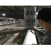 工業(yè)大吊扇，工業(yè)大風(fēng)扇，大風(fēng)扇