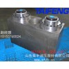 山東泰豐定做WC67Y-TF系列液壓缸 數(shù)控折彎機(jī)油缸