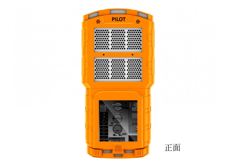 便攜式氣體檢測(cè)儀，PILOT-1便攜式氣體探測(cè)器