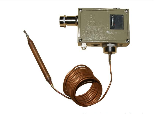 防爆溫度控制器541/7T溫度開(kāi)關(guān)